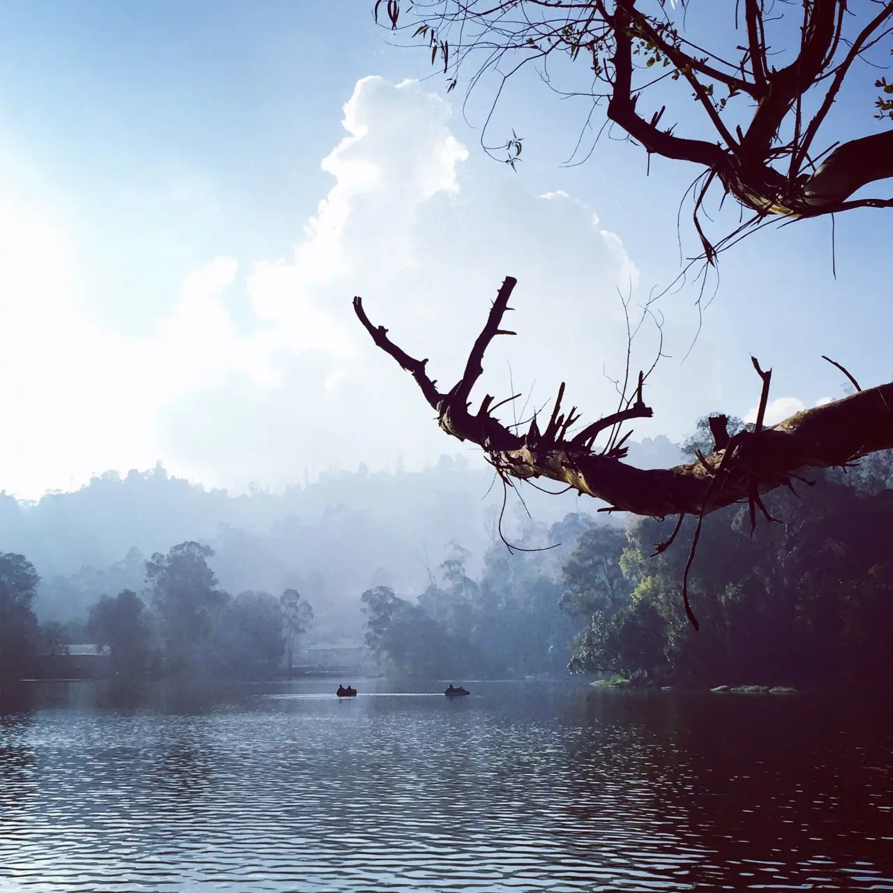 Kodaikanal, India
