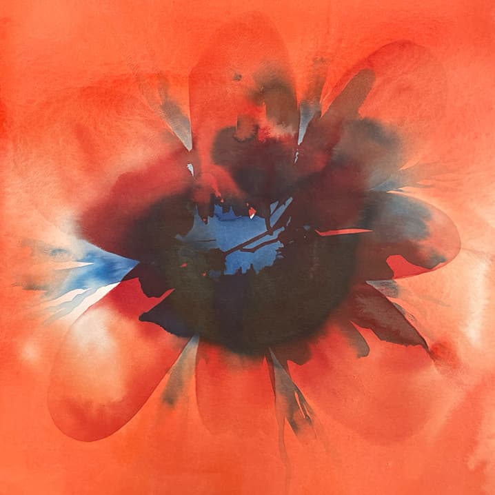 hidden-petalsSQ